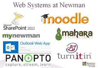 icons for Newma's web systems